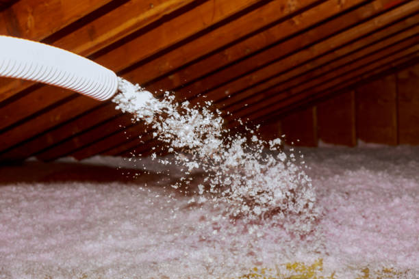 Best Commercial Insulation in The Hills, TX
