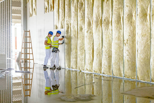 Best Insulation for Specific Applications in The Hills, TX
